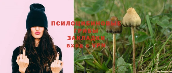 альфа пвп Каменногорск