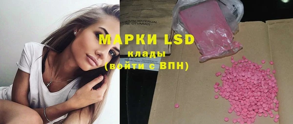 PSILOCYBIN Карталы