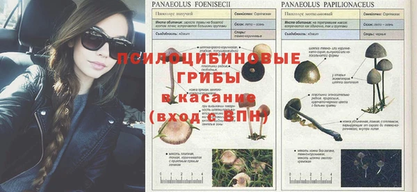 альфа пвп Каменногорск