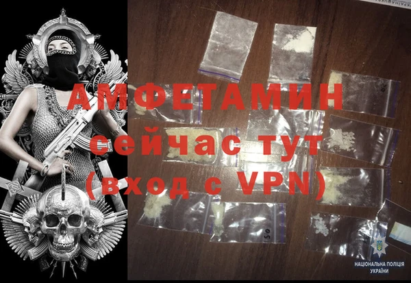 PSILOCYBIN Карталы
