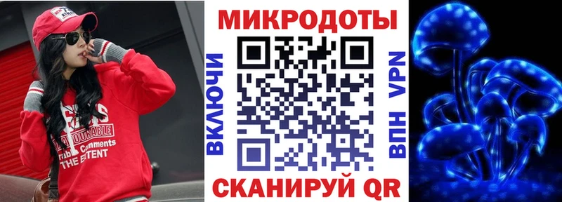 Купить закладки  Фрязино  Псилоцибиновые грибы Psilocybe 